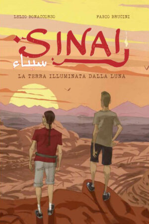 Sinai. La terra illuminata dalla luna