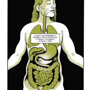 Pancreas - immagine 2