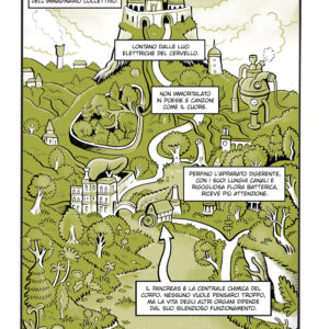 Pancreas - immagine 3