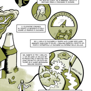 Pancreas - immagine 5