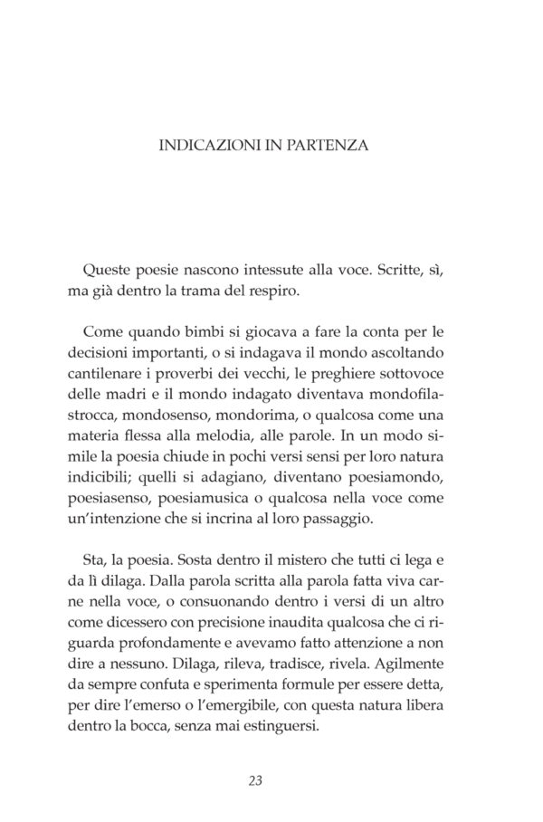 Ave Maria Piena di Rabbia - immagine 2